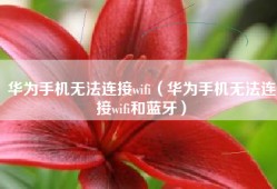 华为手机无法连接wifi（华为手机无法连接wifi和蓝牙）