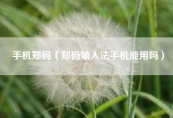 手机郑码（郑码输入法手机能用吗）