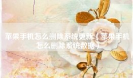 苹果手机怎么删除系统更新（苹果手机怎么删除系统数据）