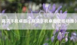 高清手机桌面（高清手机桌面壁纸动漫）