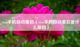 vivo手机自动重启（vivo手机自动重启是什么原因）