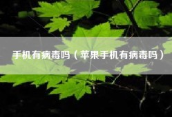 手机有病毒吗（苹果手机有病毒吗）