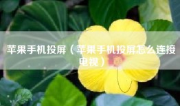 苹果手机投屏（苹果手机投屏怎么连接电视）