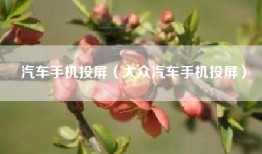 汽车手机投屏（大众汽车手机投屏）