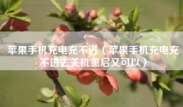 苹果手机充电充不进（苹果手机充电充不进去关机重启又可以）