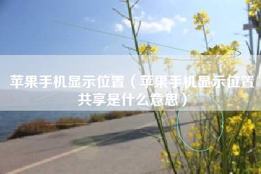 苹果手机显示位置（苹果手机显示位置共享是什么意思）