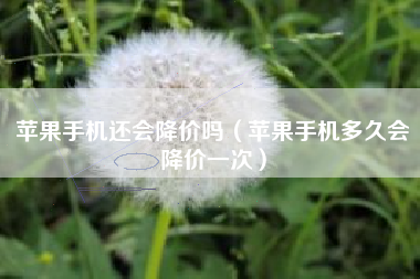 苹果手机还会降价吗（苹果手机多久会降价一次）