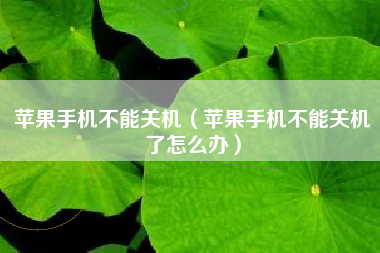 苹果手机不能关机（苹果手机不能关机了怎么办）