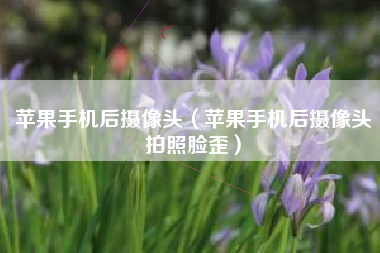 苹果手机后摄像头（苹果手机后摄像头拍照脸歪）