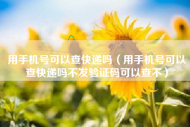 用手机号可以查快递吗（用手机号可以查快递吗不发验证码可以查不）