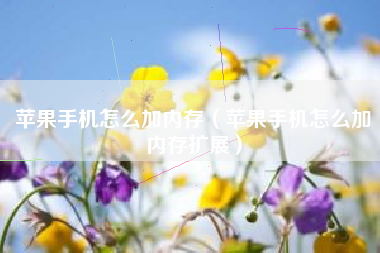 苹果手机怎么加内存（苹果手机怎么加内存扩展）