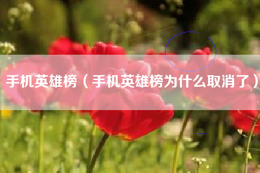 手机英雄榜（手机英雄榜为什么取消了）